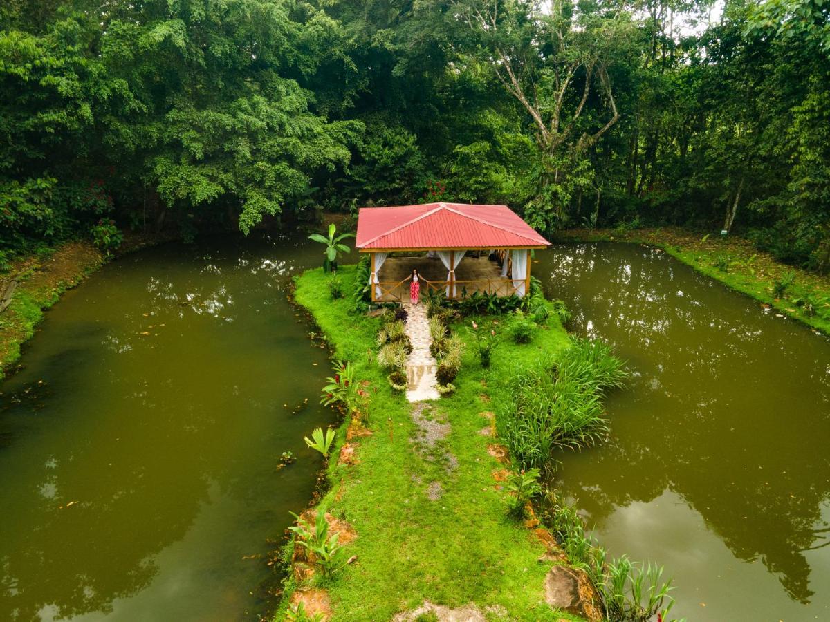 Ara Ambigua Lodge Sarapiqui Exterior photo
