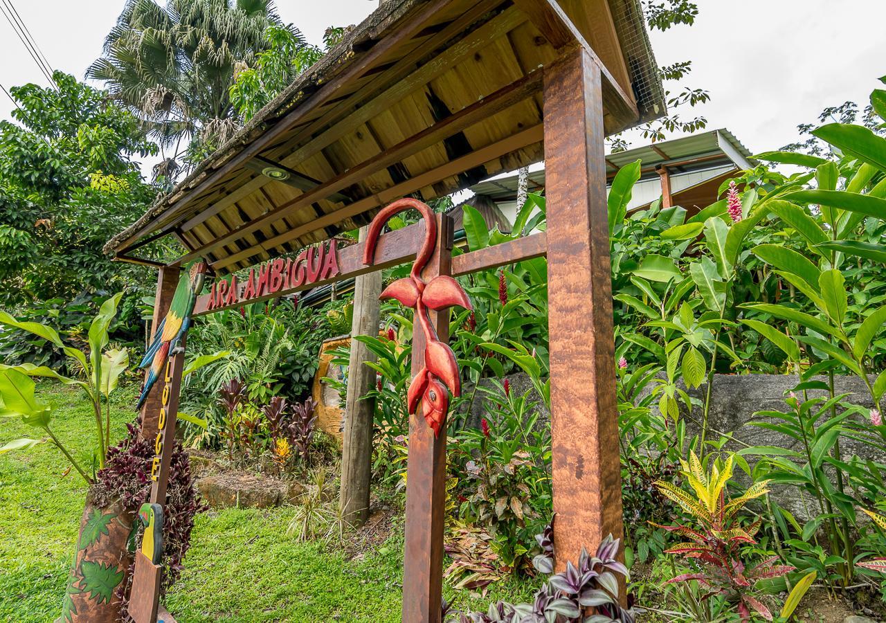 Ara Ambigua Lodge Sarapiqui Exterior photo